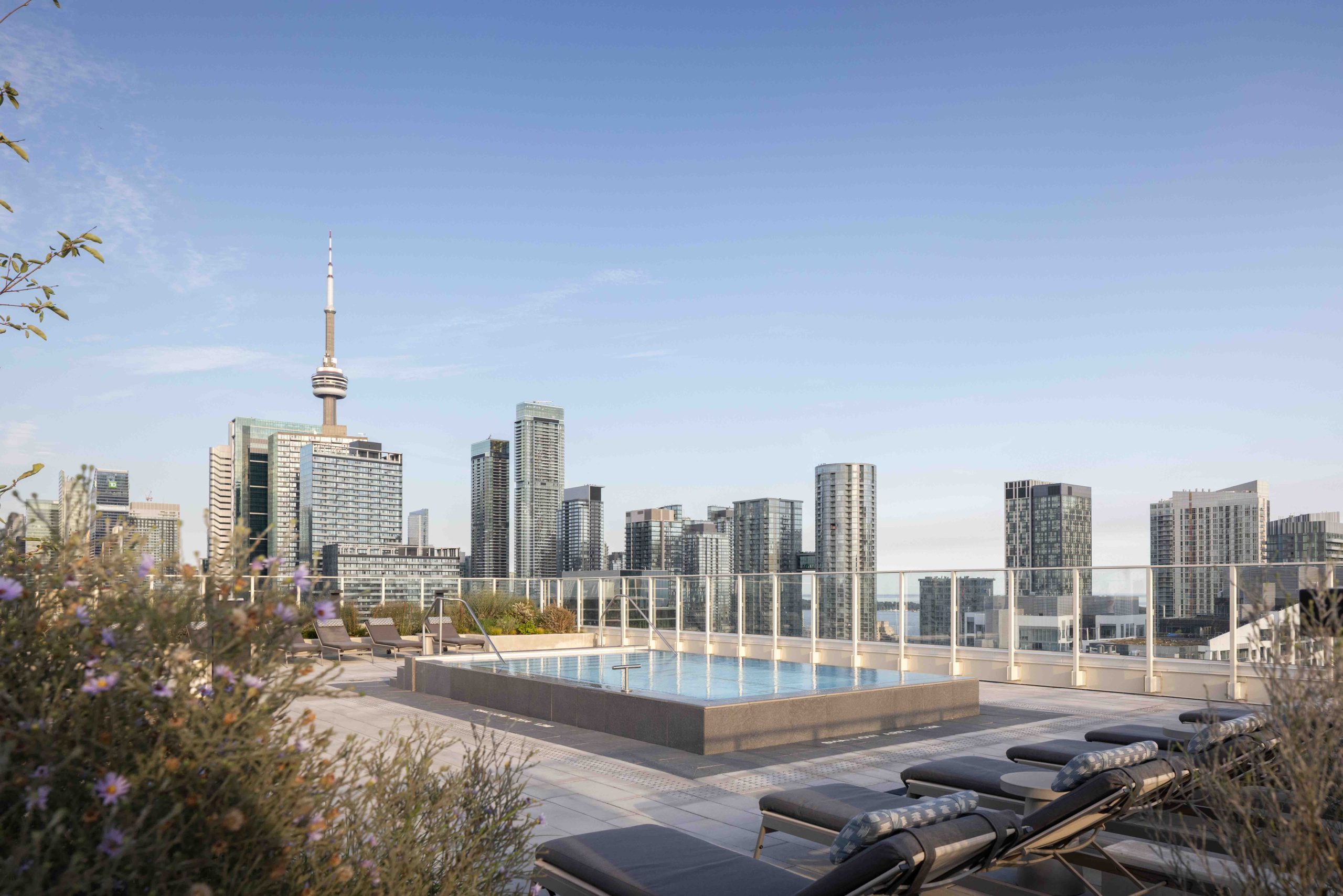 Rooftop Pool